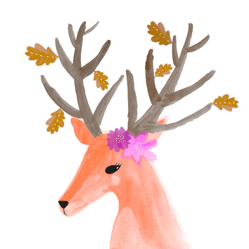 beautiful deer