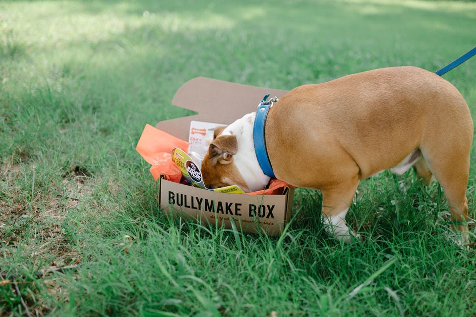 bullymake box subscription box