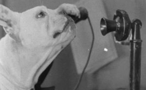 Customer support