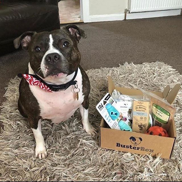 busterbox