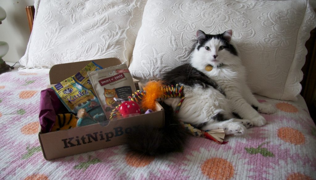 KitNipBox