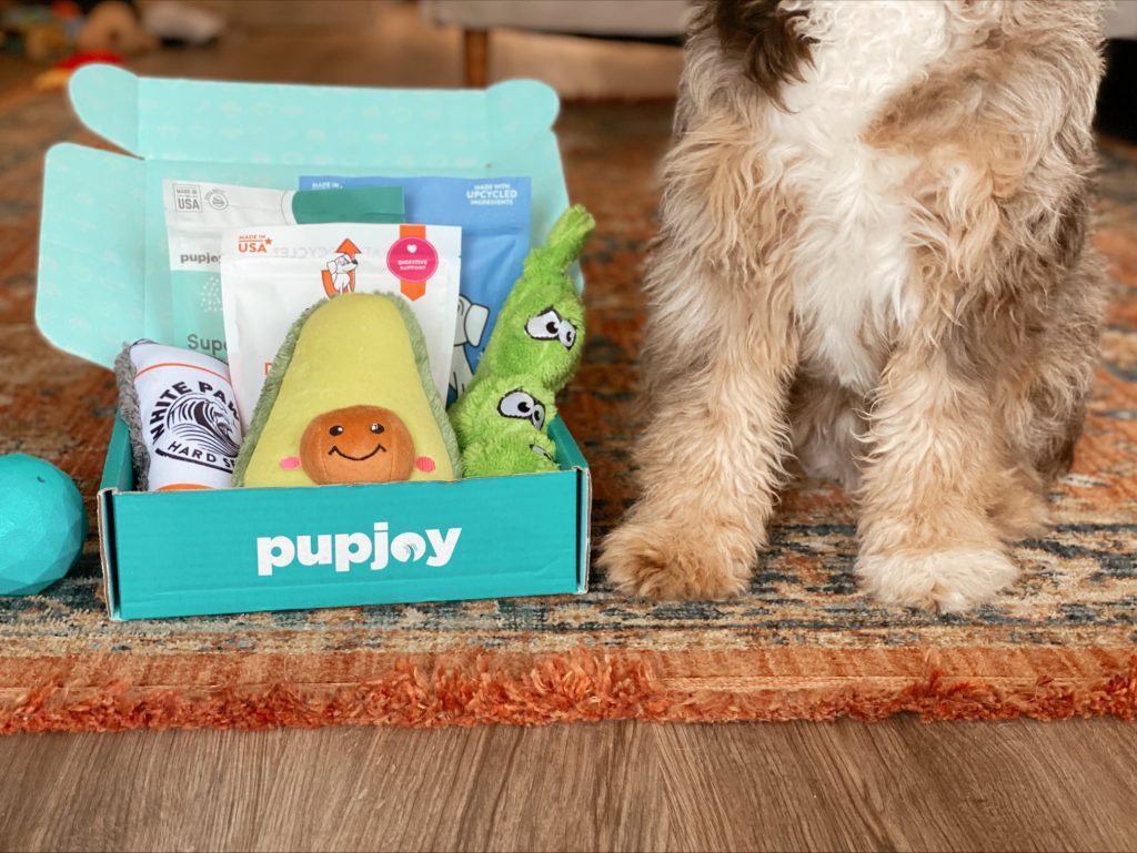 Pupjoy