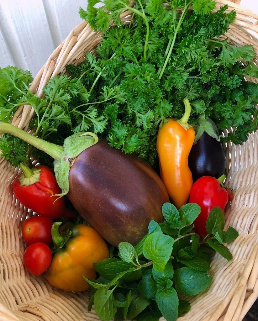 Urban Organic Gardener