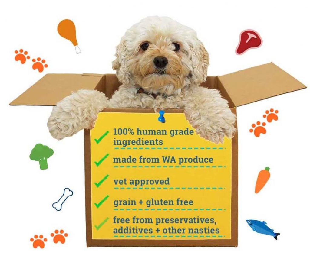 WOLFit Box