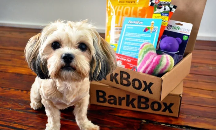 Dog-Subscription Box
