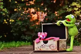 Kermit & Pink Panther Packaging