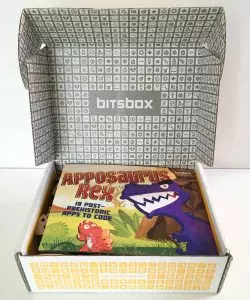 Bitsbox Packaging