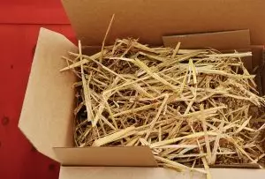 Grass-Resembling Packaging