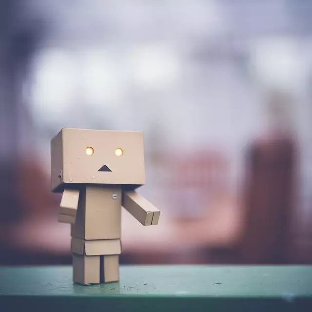 danbo asking