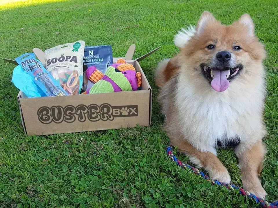 best subscription boxes: busterbox