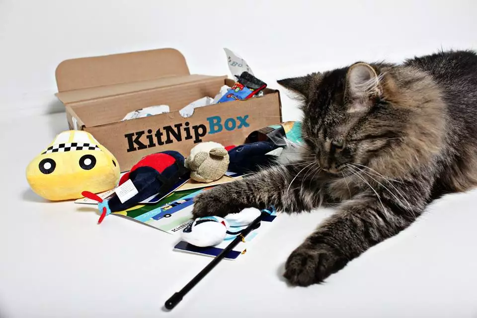 best subscription boxes: kitnipbox