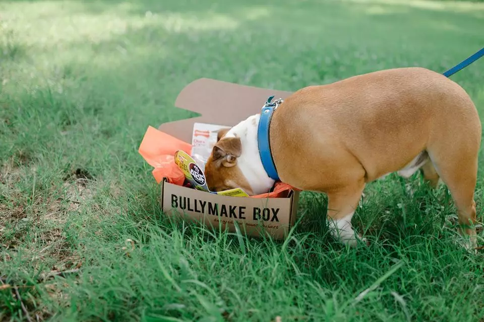 bullymake box subscription box